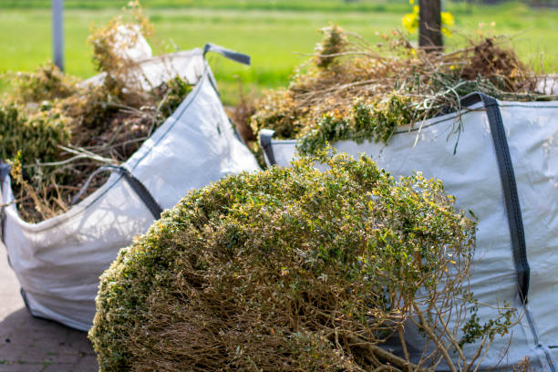Best Affordable Junk Removal Services  in Forreston, IL