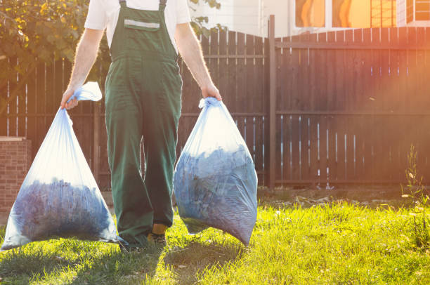 Best Construction Debris Removal  in Forreston, IL